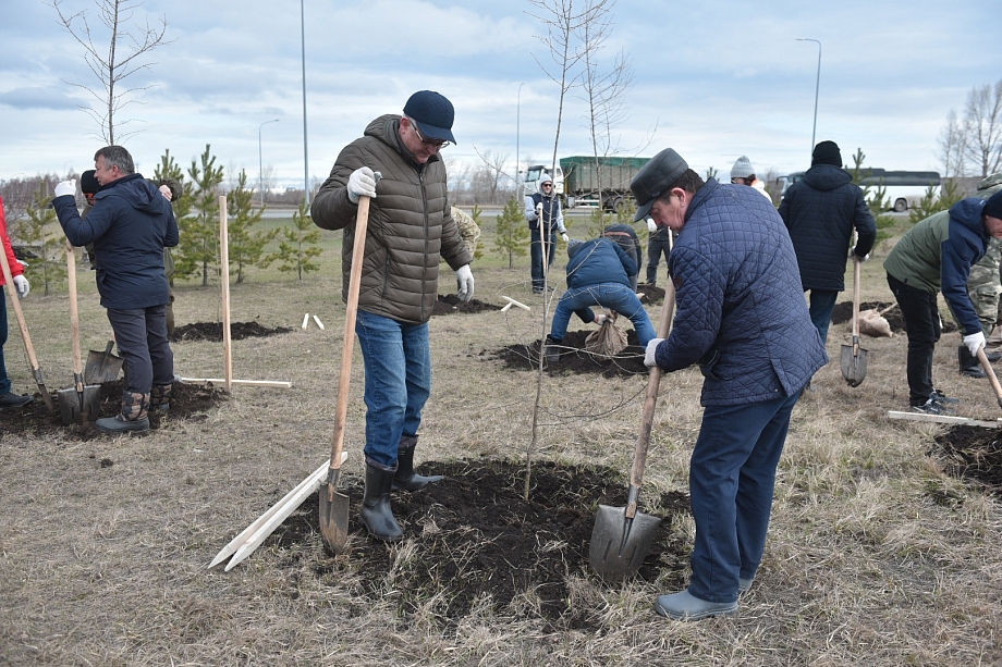 Депутаты, чиновники и новый эколог Челнов убрали мусор и посадили деревья 